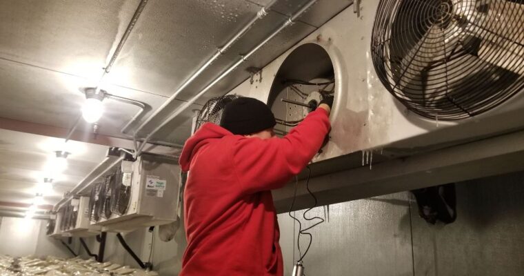 Know Whether Your Commercial Walk-In Cooler Need Repair or Replacement