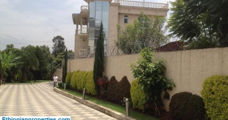 Learn About Amazing Houses For Rent In Old Airport, Addis Ababa With The Help Of The Ethiopian Properties Team