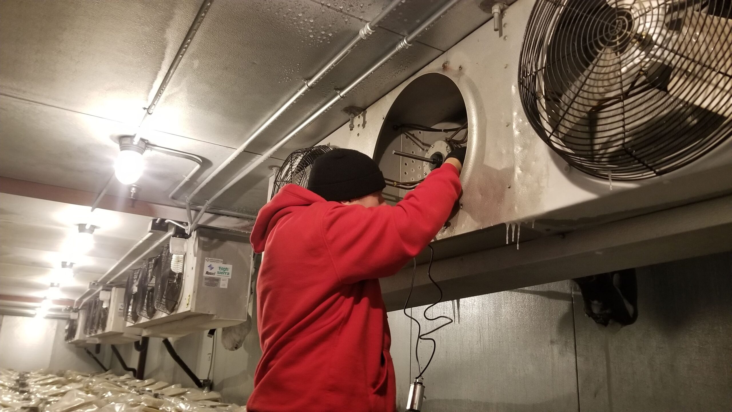 Five Reasons To Have Professional Commercial Cooler Repair Service In Portland, Oregon