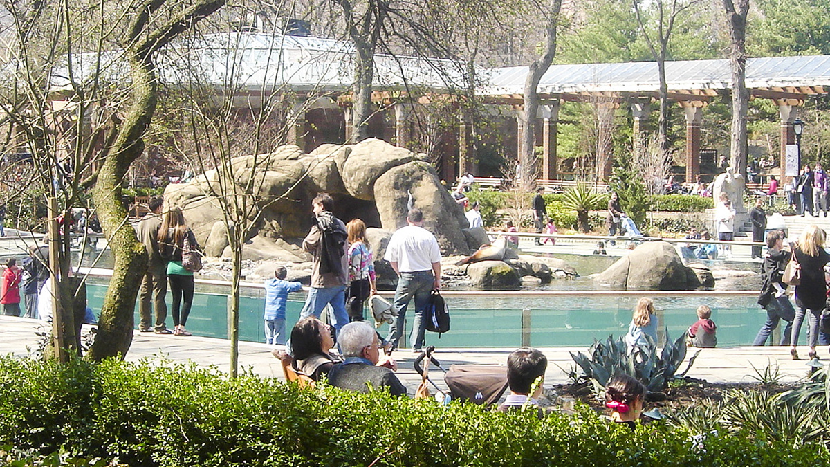 Choose Central Park Carriages – The Best Central Park Horse and Carriage Tours in New York City