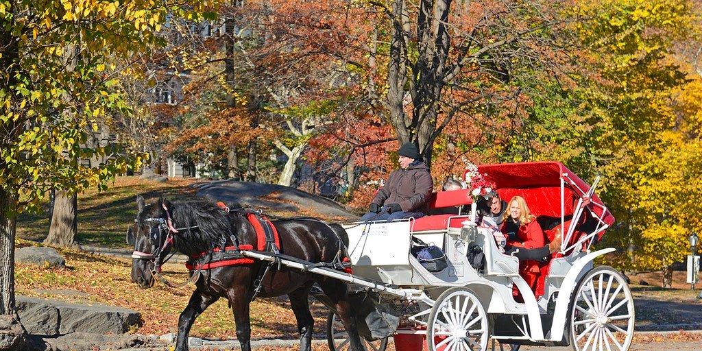 Experience New York City during Christmas with a Carriages ride through Central Park.