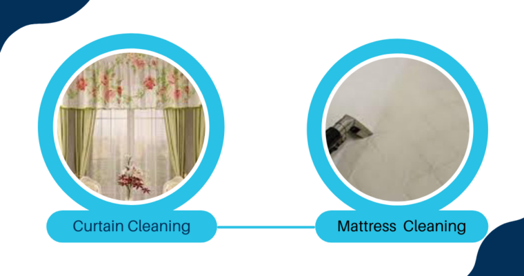 The Best Before, During and After Carpet Cleaning Service you Expect