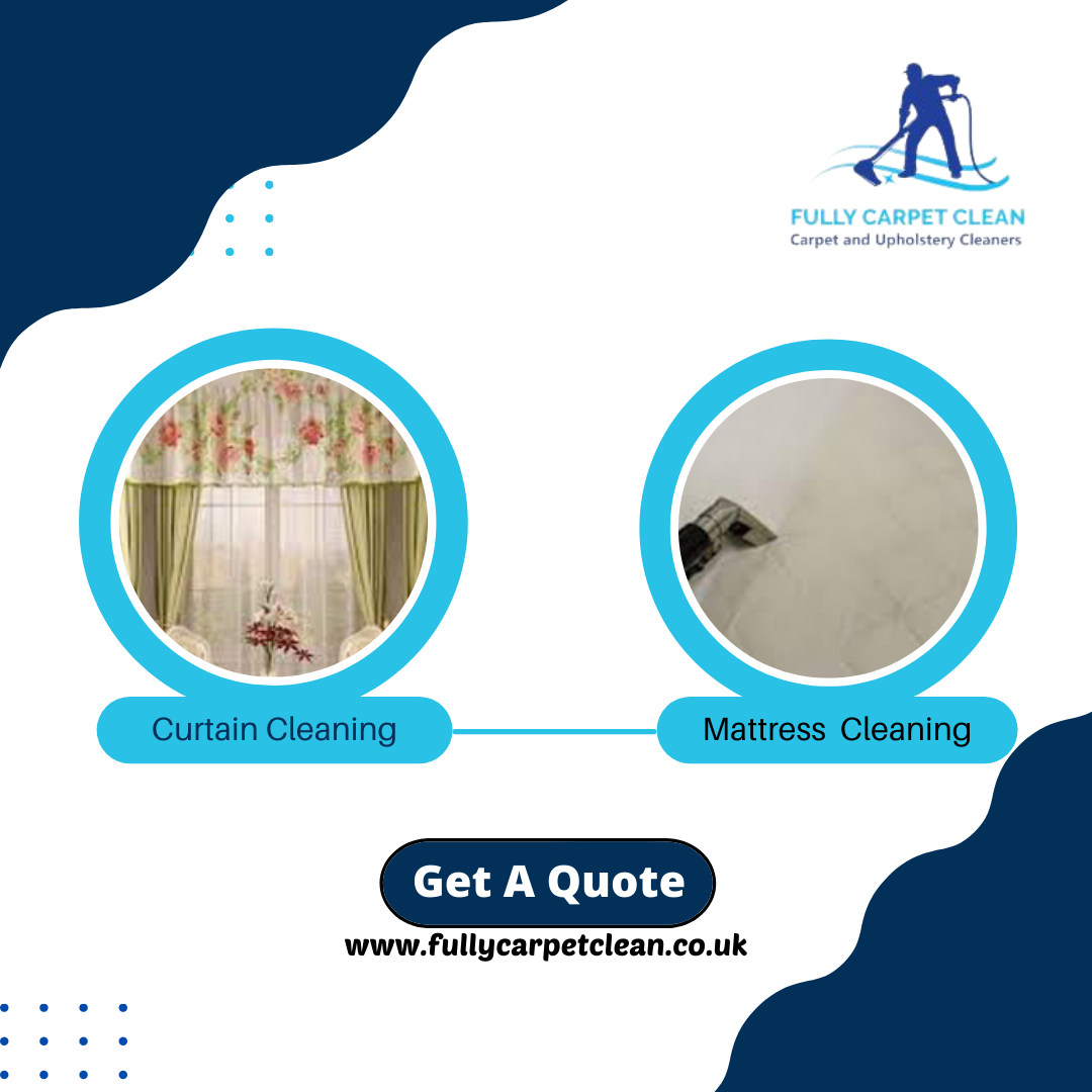 The Best Before, During and After Carpet Cleaning Service you Expect