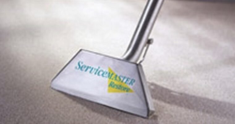 Your Carpets Can Look New Again With Glenview Carpet Cleaning