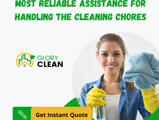 Reasons Why you Might need a Professional Carpet Cleaner’s Assistance