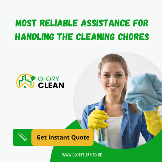 Reasons Why you Might need a Professional Carpet Cleaner’s Assistance
