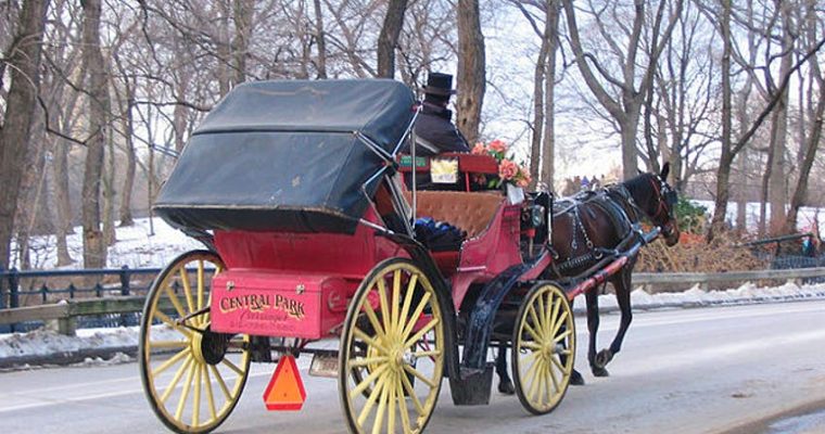 Central Park is a wonderful place to visit during sightseeing in New York.