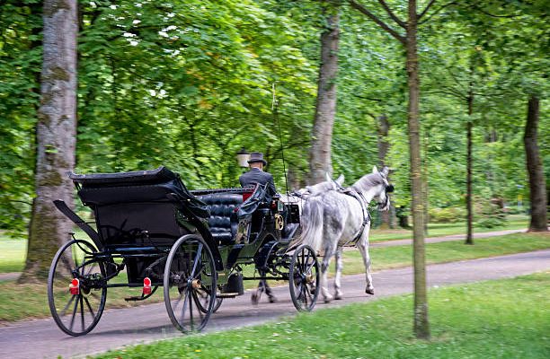 Here are some reasons why should you try horseback riding in Central Park.