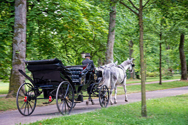 Here are some reasons why should you try horseback riding in Central Park.