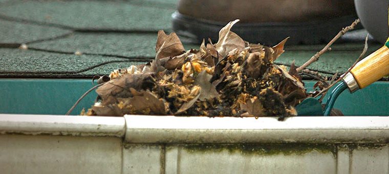 Gutter Cleaning for Rental Properties: Protecting Your Investment