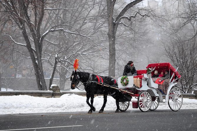 Embracing Tranquility: Central Park Carriage Tours Unveiled