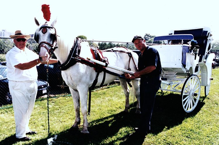 Rediscovering the Enchantment of Central Park: NYC Horse Carriage Rides