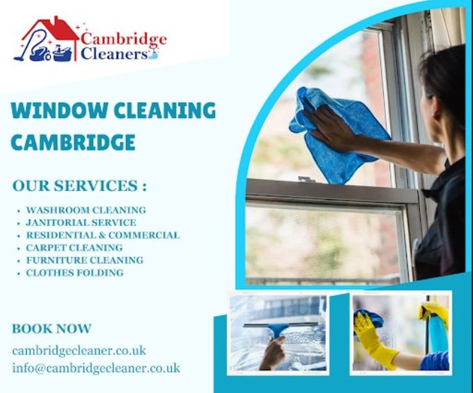 Professional Window Cleaning Services