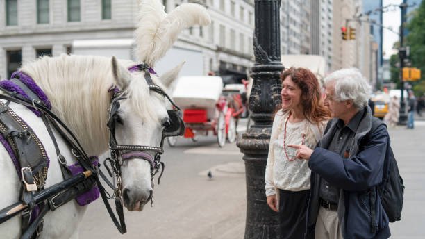 Unveiling Unforgettable Central Park Horse and Carriage Tours in NYC