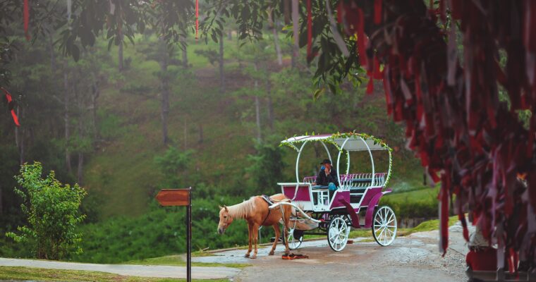 Unveiling the Enchantment of Central Park Carriages in New York City