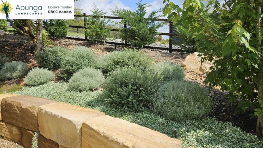 Horticutural Services