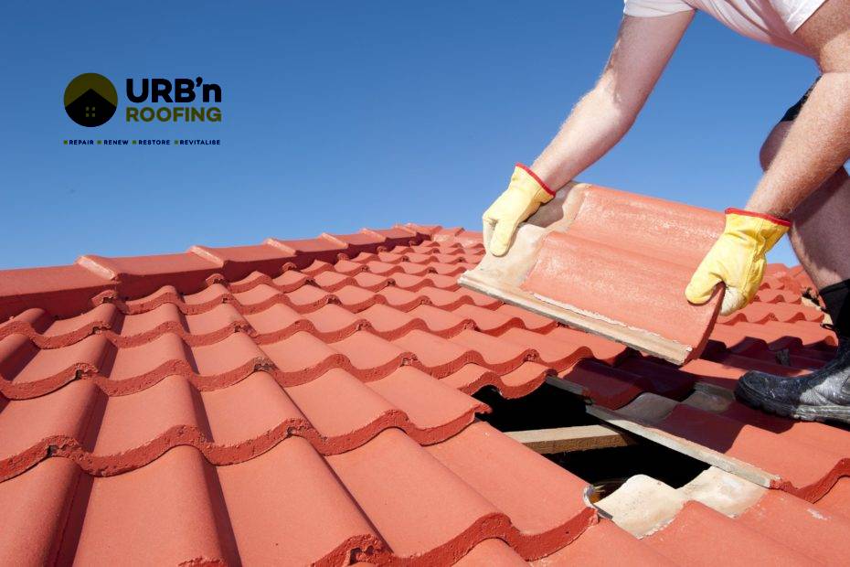 Roof Repair & Painting