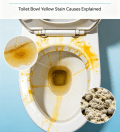 What Causes Yellow Stains in a Toilet Bowl