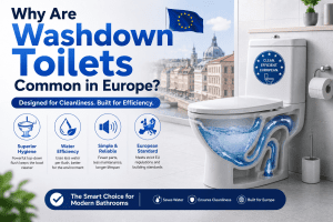 Why Are Washdown Toilets Common in Europe?
