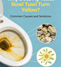Why Does My Toilet Bowl Turn Yellow
