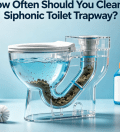 How Often Should You Clean a Siphonic Toilet Trapway