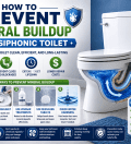 How to Prevent Mineral Buildup in a Siphonic Toilet